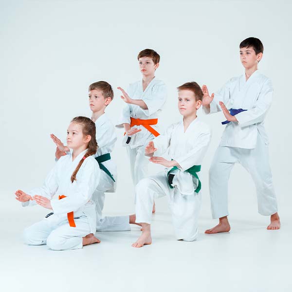 The Essence of Discipline: Life Lessons Learned through Karate Training